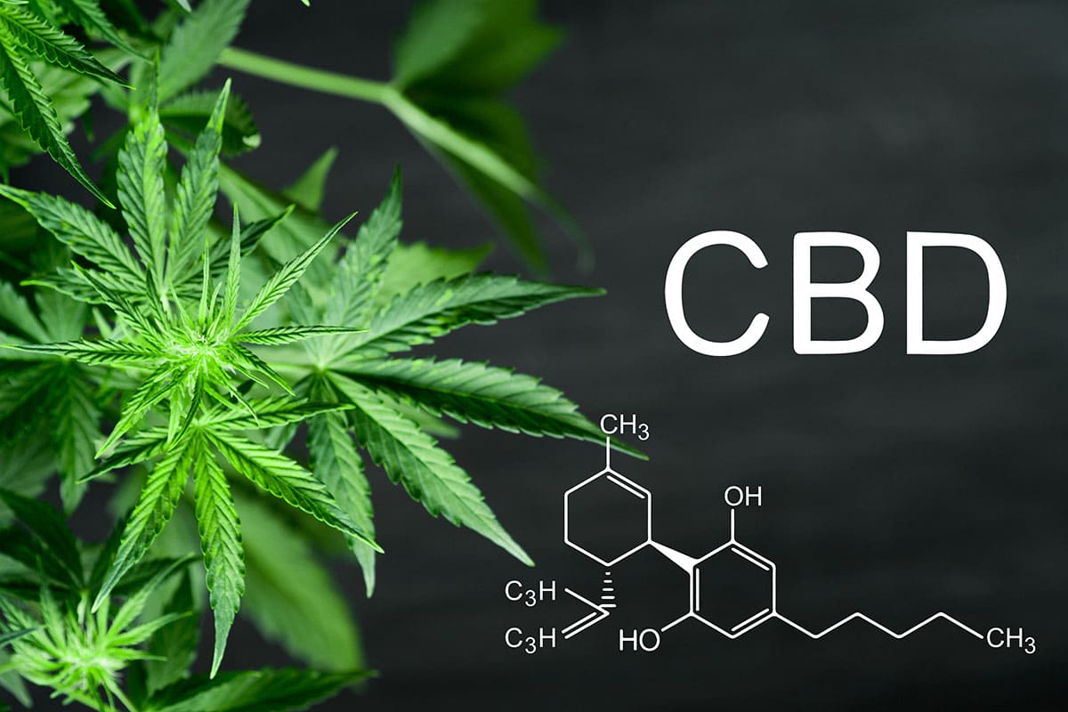 CBD Safety: Important Considerations and Precautions